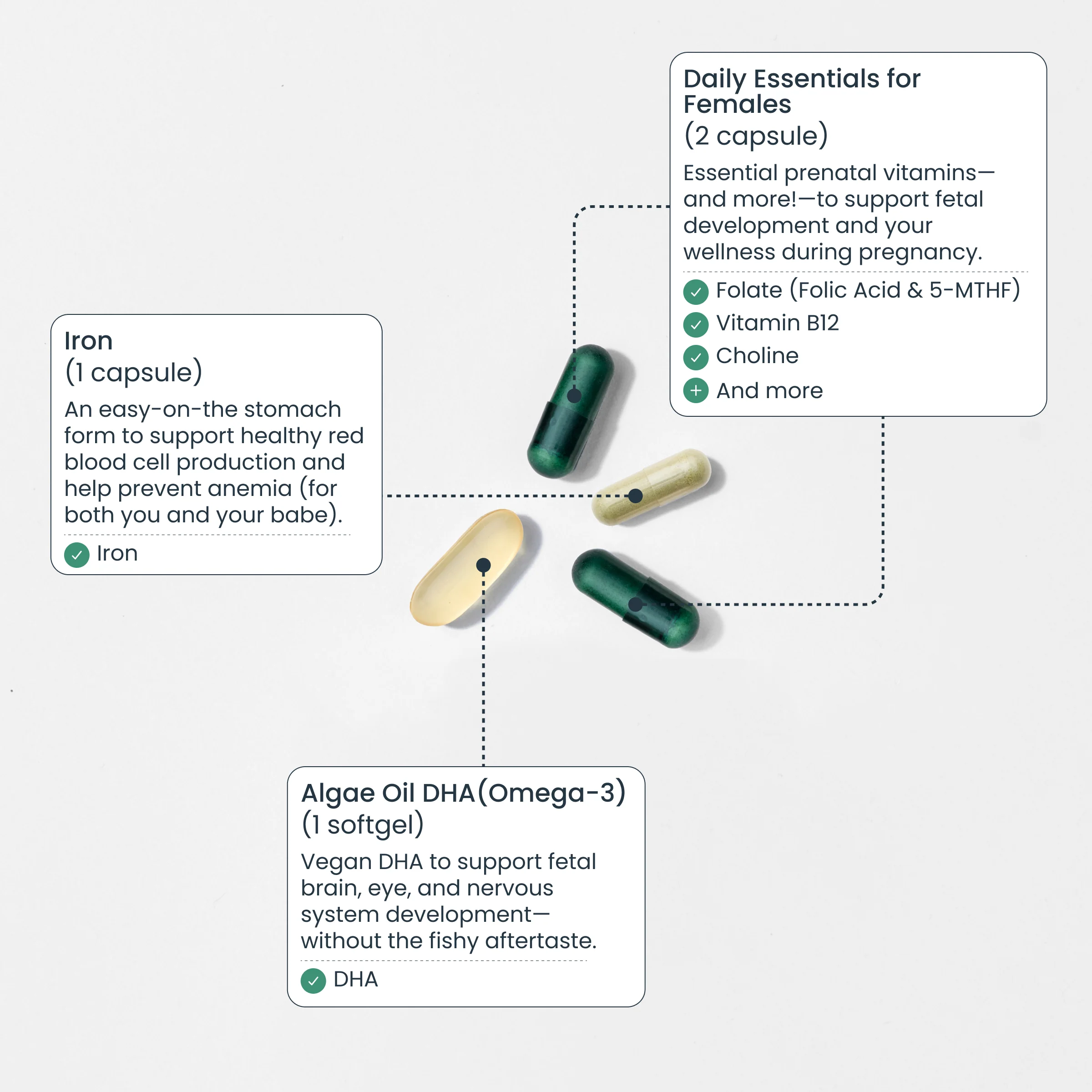 Complete Prenatal Pack - Image 4