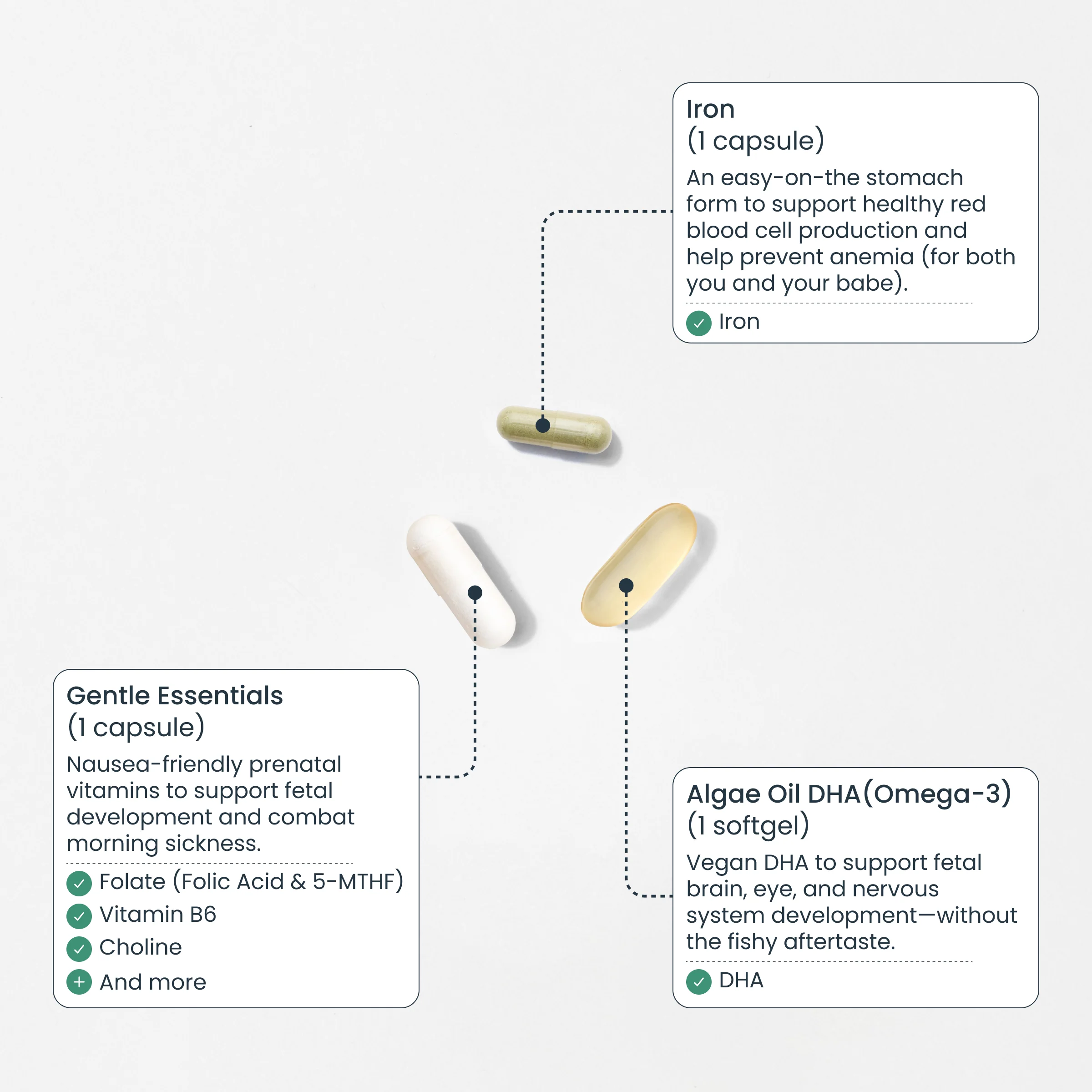 Gentle Prenatal Pack - Image 3