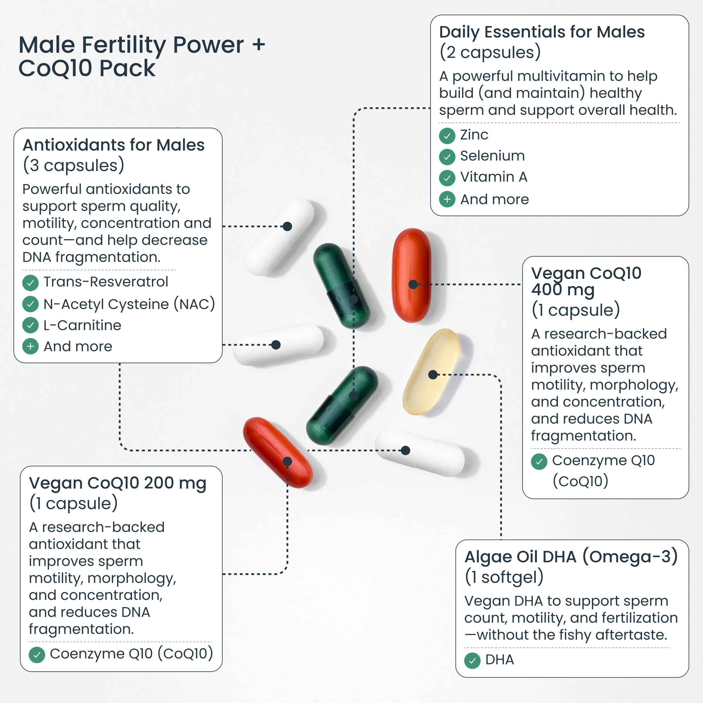 Sperm Health Kit - Image 5